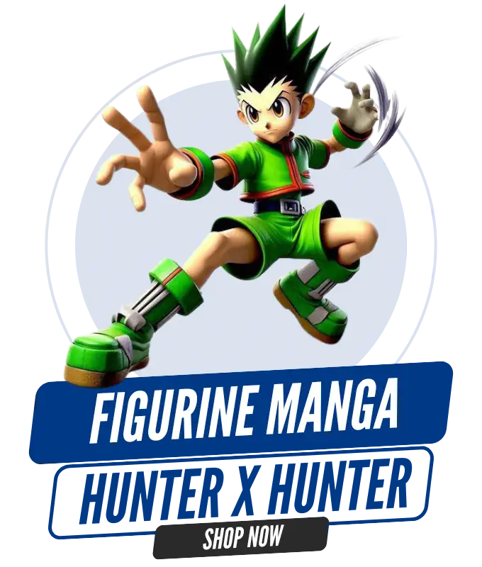 Figurine Hunter x Hunter France - Boutique Figurine Manga 20003221